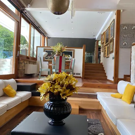 Villa Vigo Arlington Real Estate *
